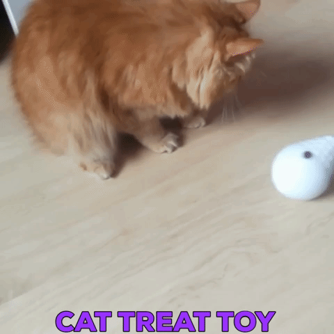 3d printed cat toys